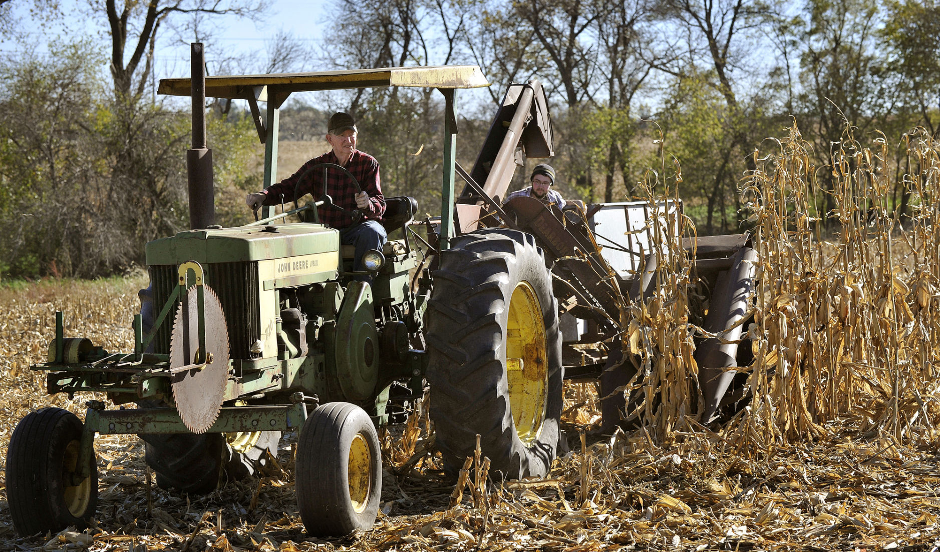 Harvest time